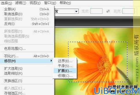 Photoshop基础教程：选区工具的应用技巧讲解