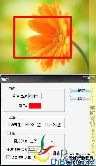 Photoshop基础教程：选区工具的应用技巧讲解