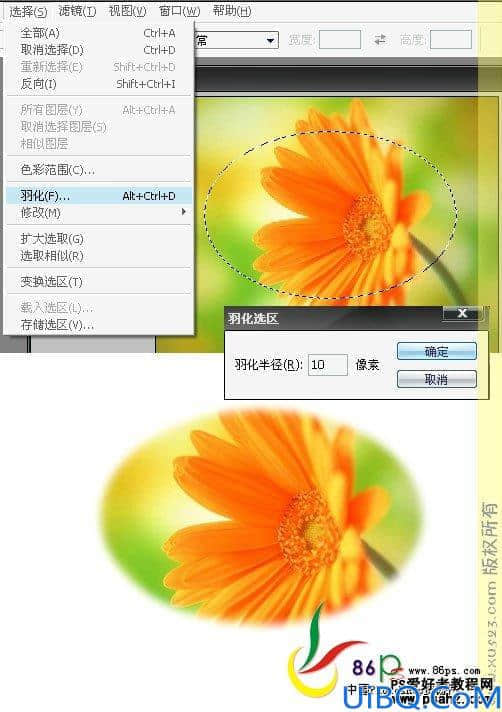 Photoshop基础教程：选区工具的应用技巧讲解