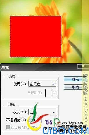 Photoshop基础教程：选区工具的应用技巧讲解