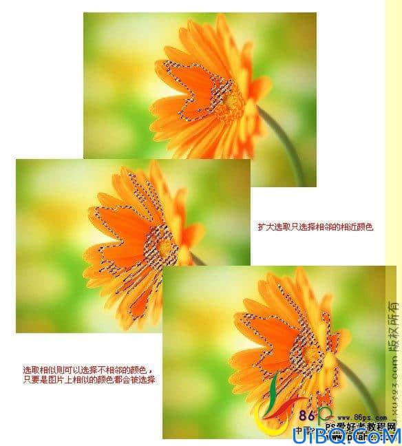 Photoshop基础教程：选区工具的应用技巧讲解