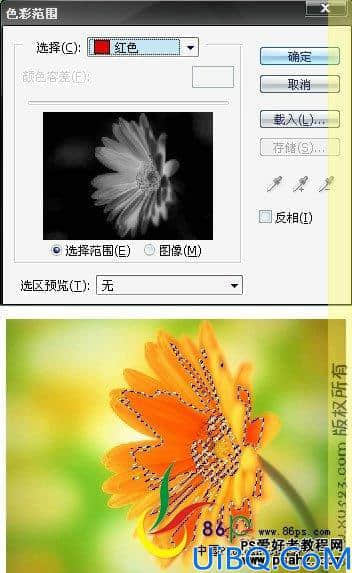 Photoshop基础教程：选区工具的应用技巧讲解