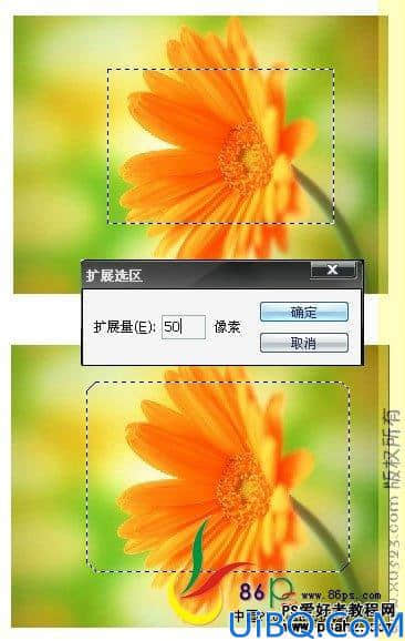 Photoshop基础教程：选区工具的应用技巧讲解