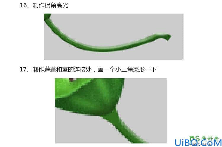 Photoshop失量图绘制教程：学习手绘漂亮精致的青色莲蓬失量图素材。