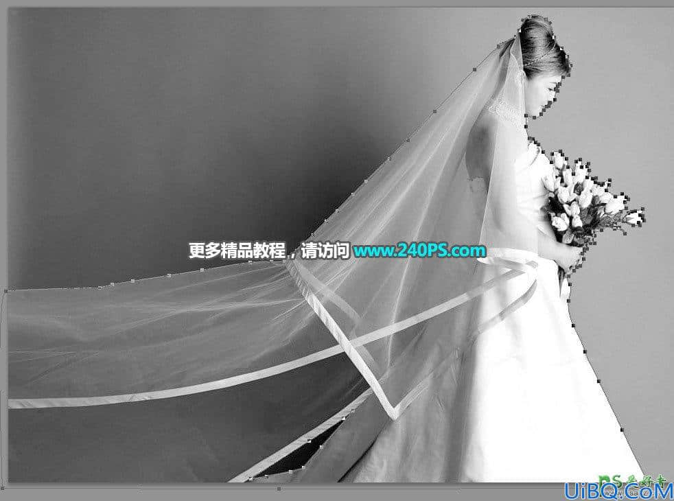 Photoshop通道抠图教程：用钢笔及通道工具完美抠出半透明的美女婚纱照