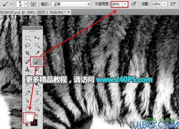 Photoshop通道抠图教程：巧用多个通道快速抠出正在晒太阳的东北虎图片