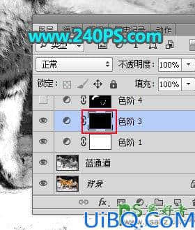 Photoshop通道抠图教程：巧用多个通道快速抠出正在晒太阳的东北虎图片