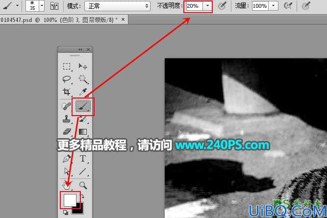 Photoshop通道抠图教程：巧用多个通道快速抠出正在晒太阳的东北虎图片