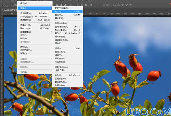 学习Photoshop如何执行“色阶”命令来处理图像。