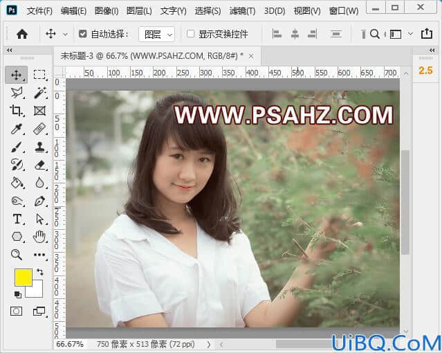 Photoshop滤镜教程：利用渲染滤镜（树）做出一张漂亮的樱花树，浪漫樱花