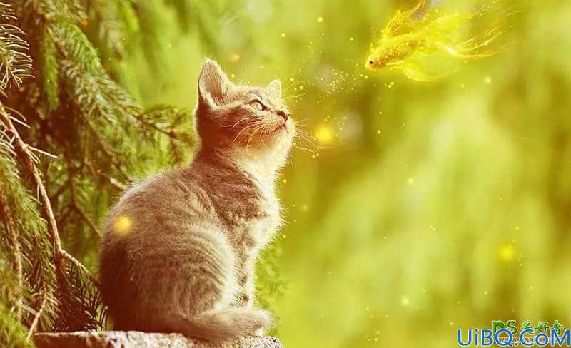 Photoshop图像合成实例：创意打造可爱的小菊猫与飞舞的金鱼玩耍场景。