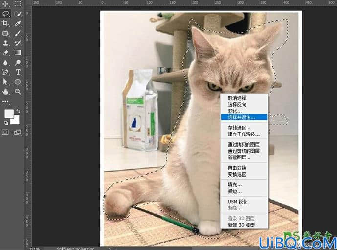 Photoshop新手抠图教程：学习用简单的方法快速抠出可爱的小猫咪图片。