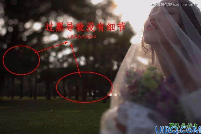 Photoshop后期技巧教程：实例讲解用直方图工具去调整自己拍摄的照片。