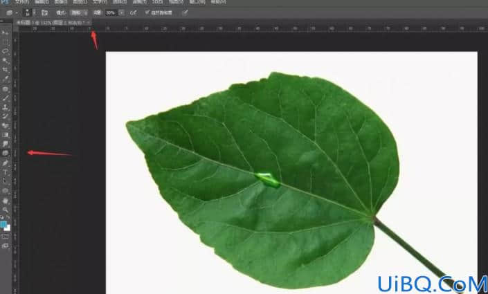Photoshop手绘教程：学习绘制逼真的水珠，树叶上滚动的水珠。