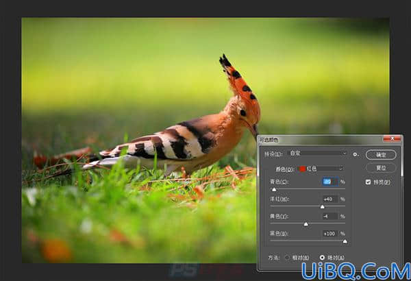Photoshop工具教程：学习“可选颜色”命令在图片处理过程中的运用。