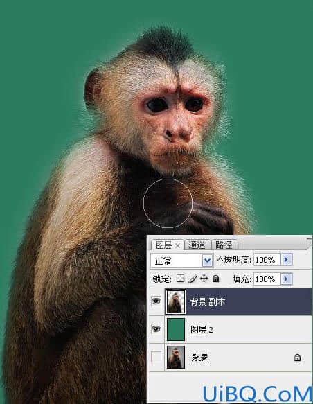一图多解找出抠取毛发的最佳方法