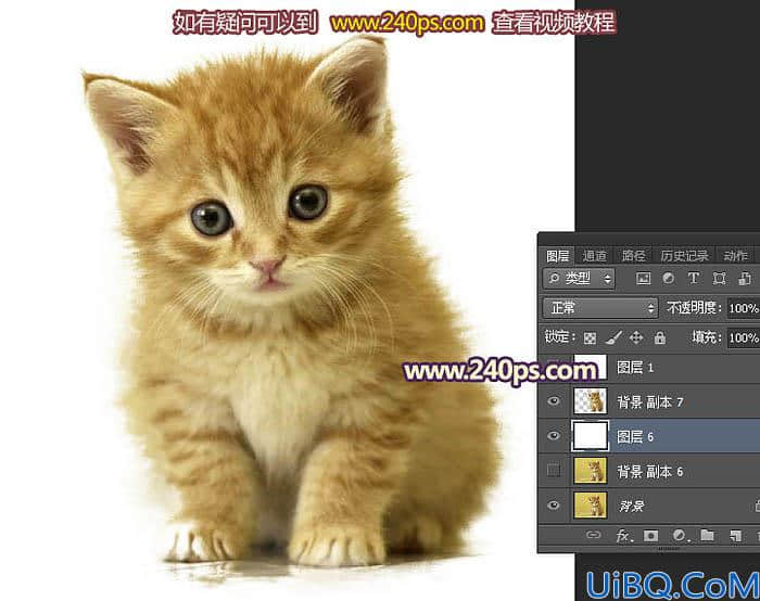 利用调整边缘抠出可爱的小猫