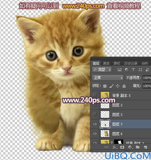 利用调整边缘抠出可爱的小猫