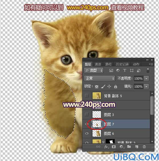 利用调整边缘抠出可爱的小猫