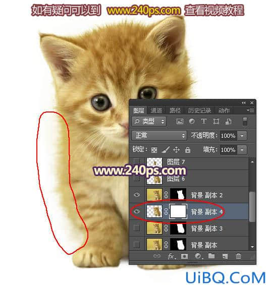 利用调整边缘抠出可爱的小猫