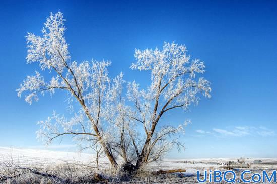 Photoshop打造梦幻的月色雪景