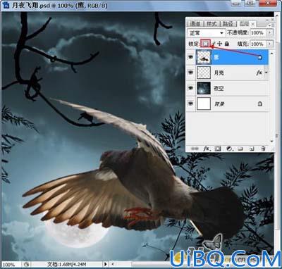 Photoshop合成夜空飞翔的鸽子