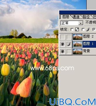 Photoshop把照片处理成油画效果