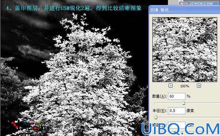 用Photoshop调出圣诞气氛色调