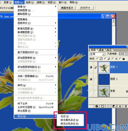 用修边命令来消除杂边