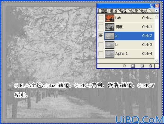 用Photoshop计算和通道打造另类色调
