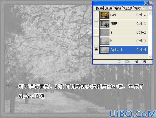 用Photoshop计算和通道打造另类色调