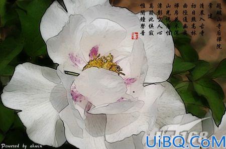 Photoshop将鲜花图片转成工笔画