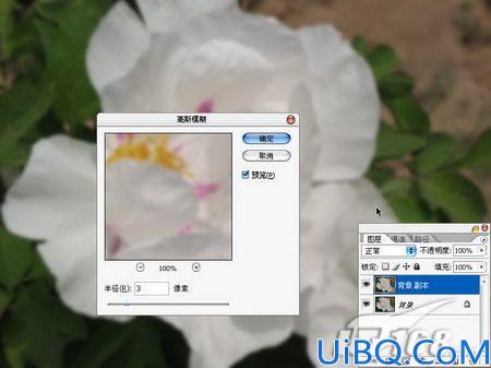 Photoshop将鲜花图片转成工笔画