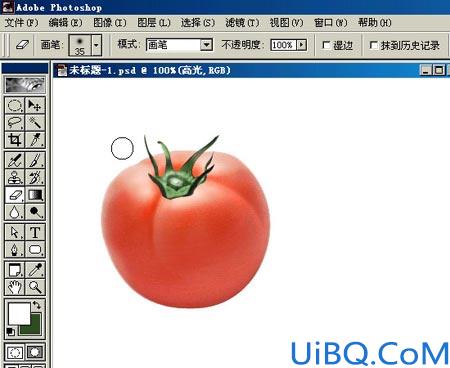 PHOTOSHOP绘作逼真蕃茄