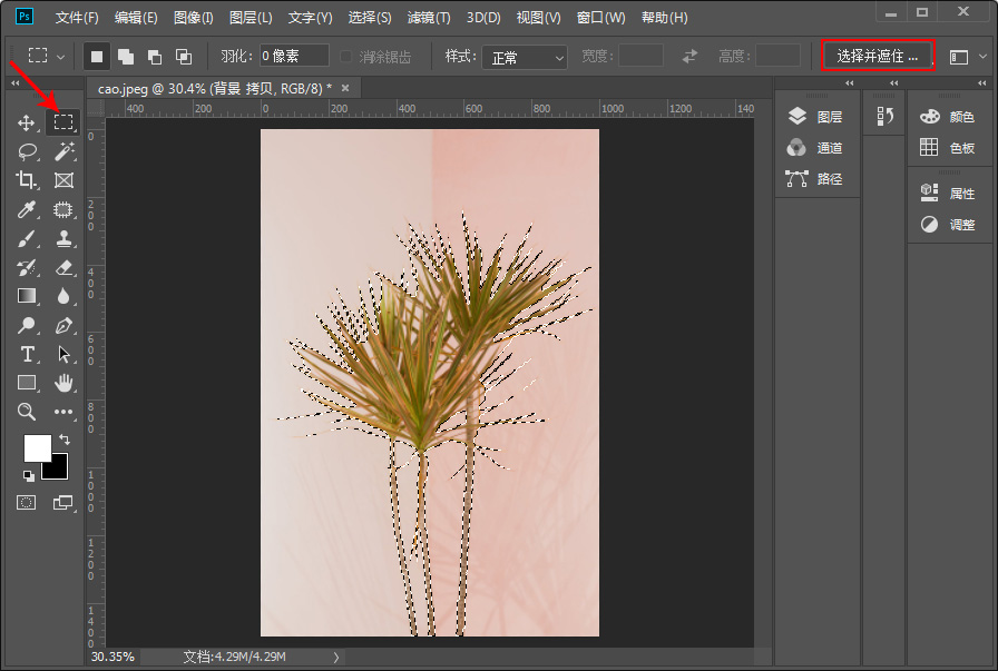 Photoshop工具教程：学习选择并遮住（调整边缘）工具的使用方法。