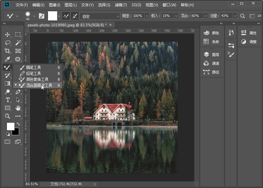 Photoshop基础教程：学习图像后期处理中混合器画笔工具怎么用。