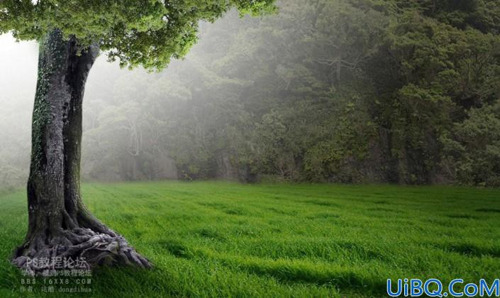 森林场景，合成女人与鹿梦幻森林场景教程