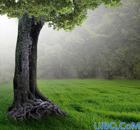 森林场景，合成女人与鹿梦幻森林场景教程