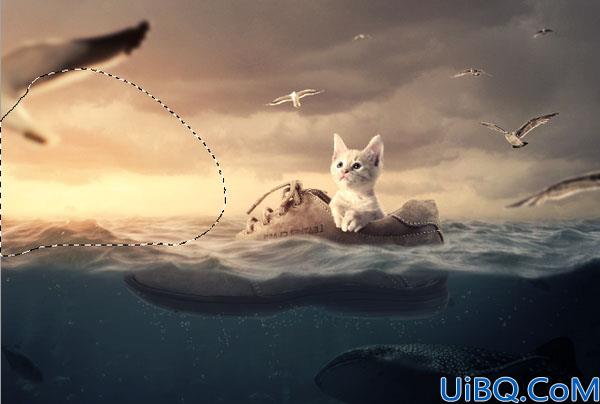 海洋场景，合成一张在鞋里漂流在海上的小猫场景