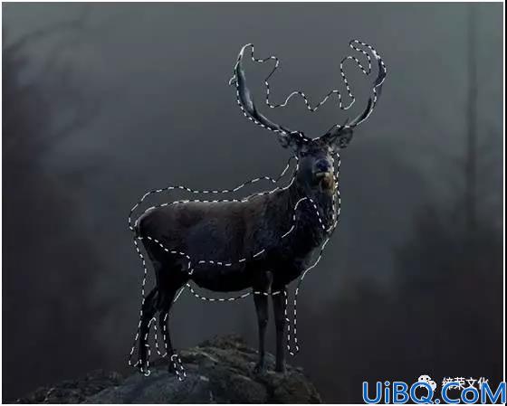 照片合成，用Photoshop合成一个梦幻火焰鹿