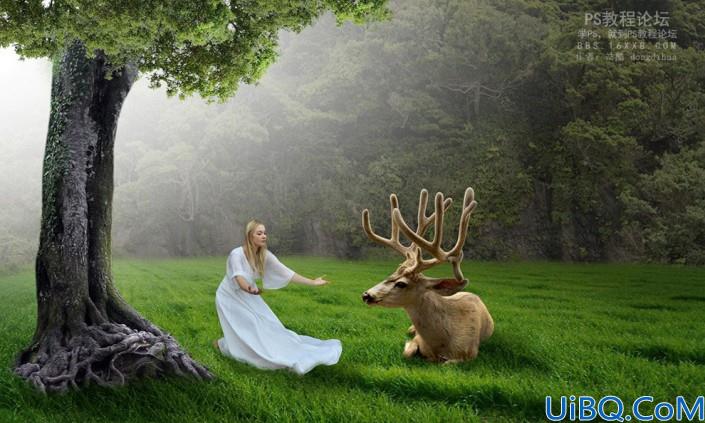森林场景，合成女人与鹿梦幻森林场景教程