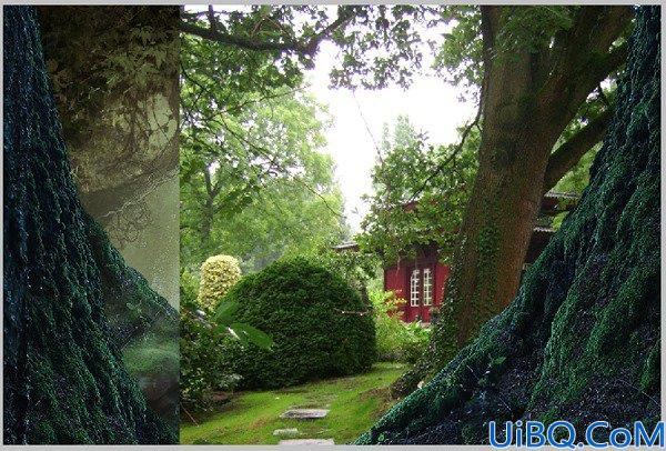 后期合成，用Photoshop合成一个童话森林场景