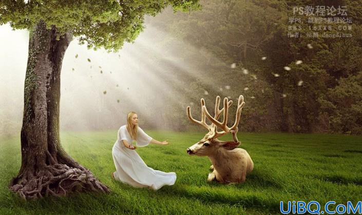 森林场景，合成女人与鹿梦幻森林场景教程