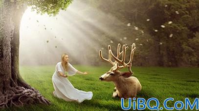森林场景，合成女人与鹿梦幻森林场景教程