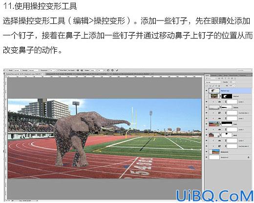 场景合成，合成动物比赛场景教程