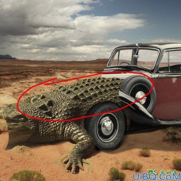 Photoshop合成教程：把鳄鱼和汽车完美的融合起来合成出超酷的鳄鱼汽车