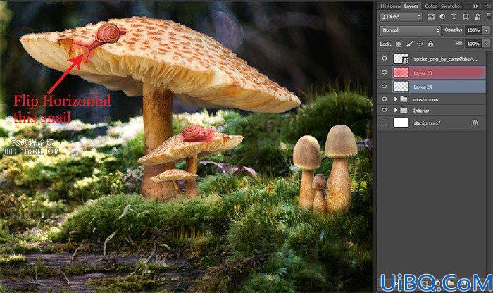 合成图片！Photoshop合成森林中的小女巫图片