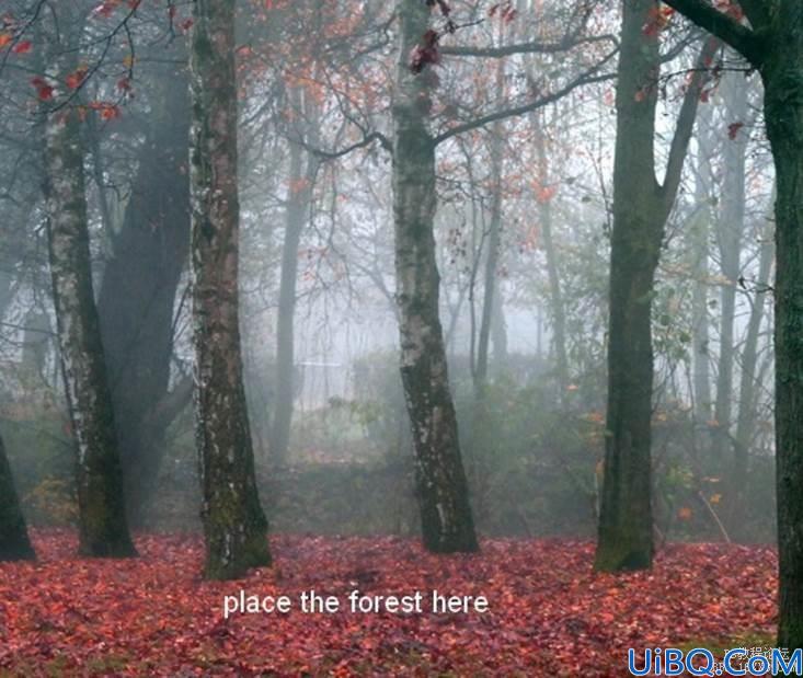 Photoshop合成森林中跳舞的美女场景