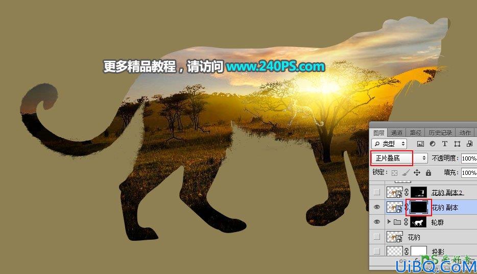 Photoshop创意合成花豹的二次曝光效果，让花豹融入了唯美的稀树草原。