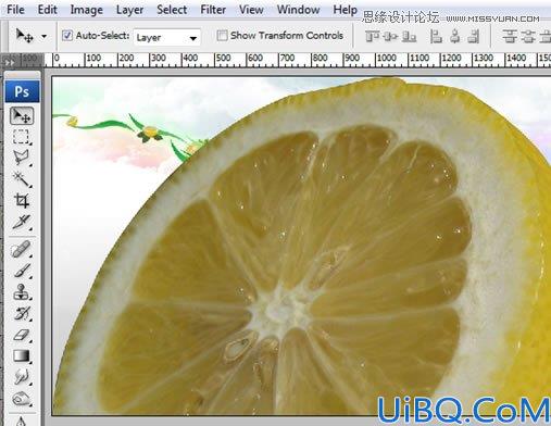 Photoshop合成漂浮在花藤中的创意杯子